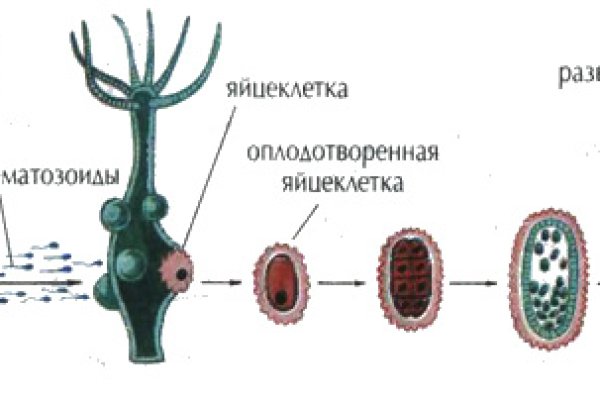 Кракен через браузер